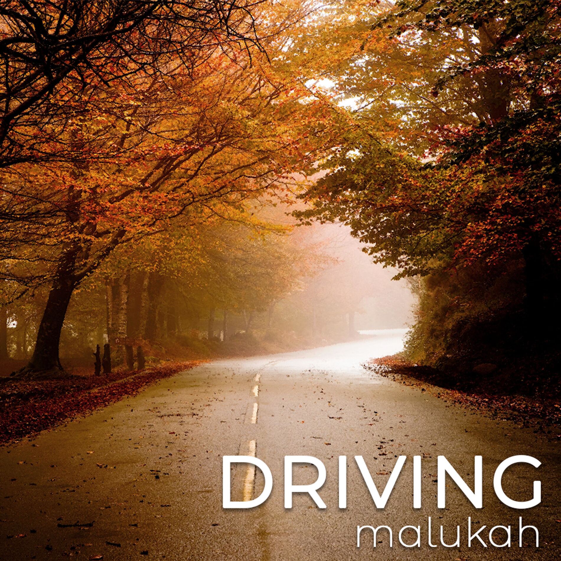 Album cover of Driving