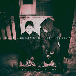 Cover of Happiness in Self Destruction