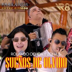 Cover of Sueños De Olvido (Parranda Entre Amigos)
