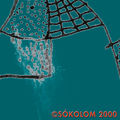 Cs&oacute;kolom 2000