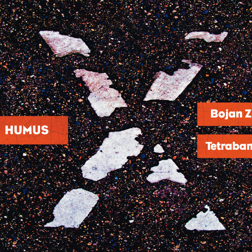 Picture of Humus
