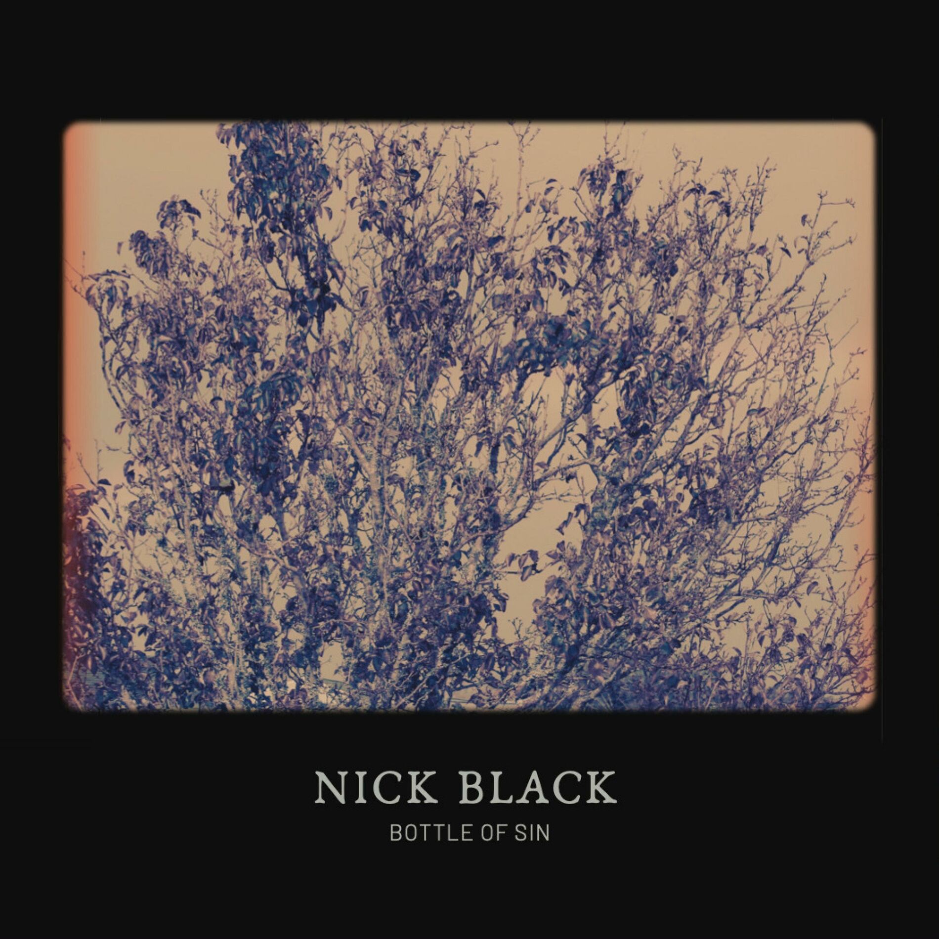 Nick Black: álbuns, músicas, shows | Deezer