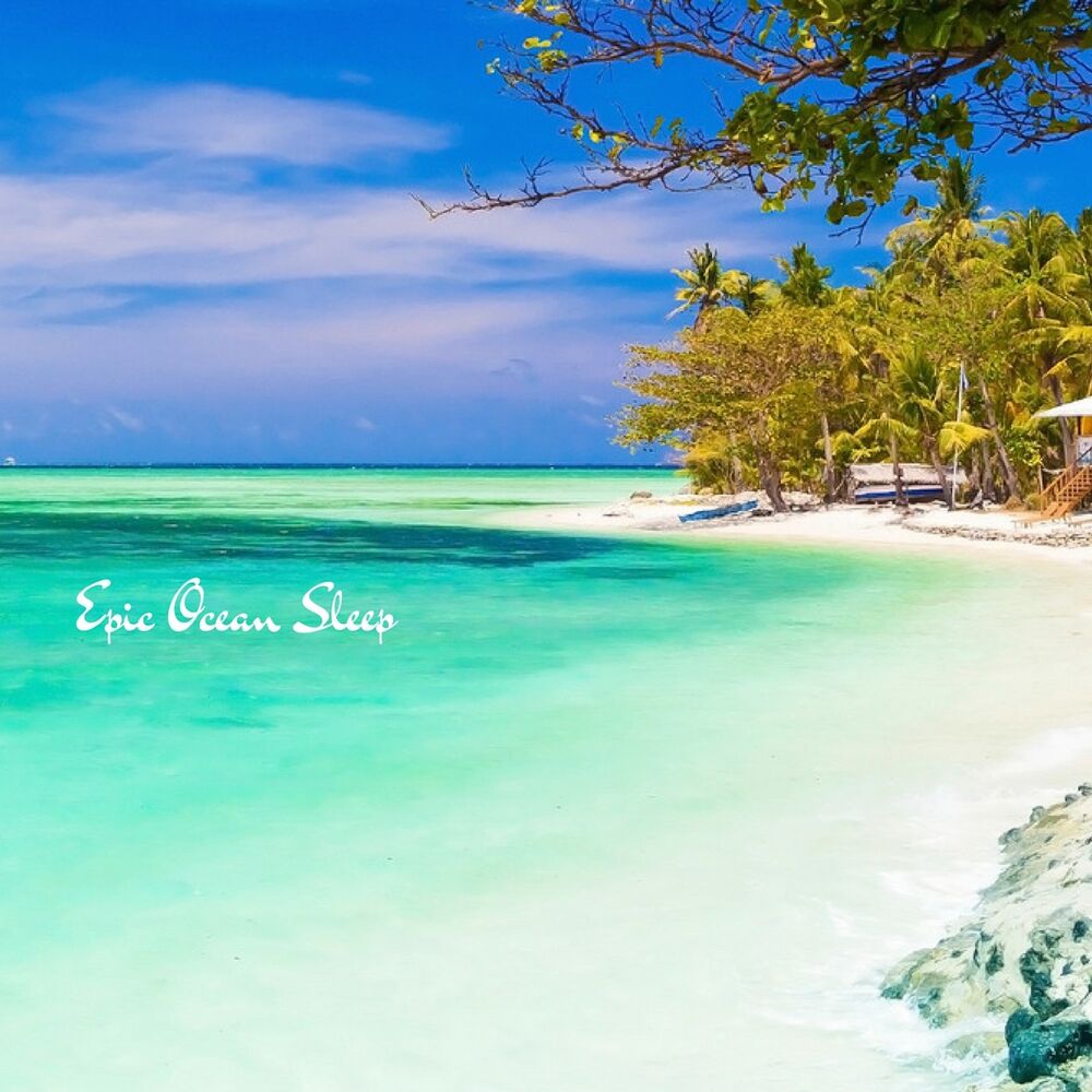 Picture of Epic Ocean Sleep