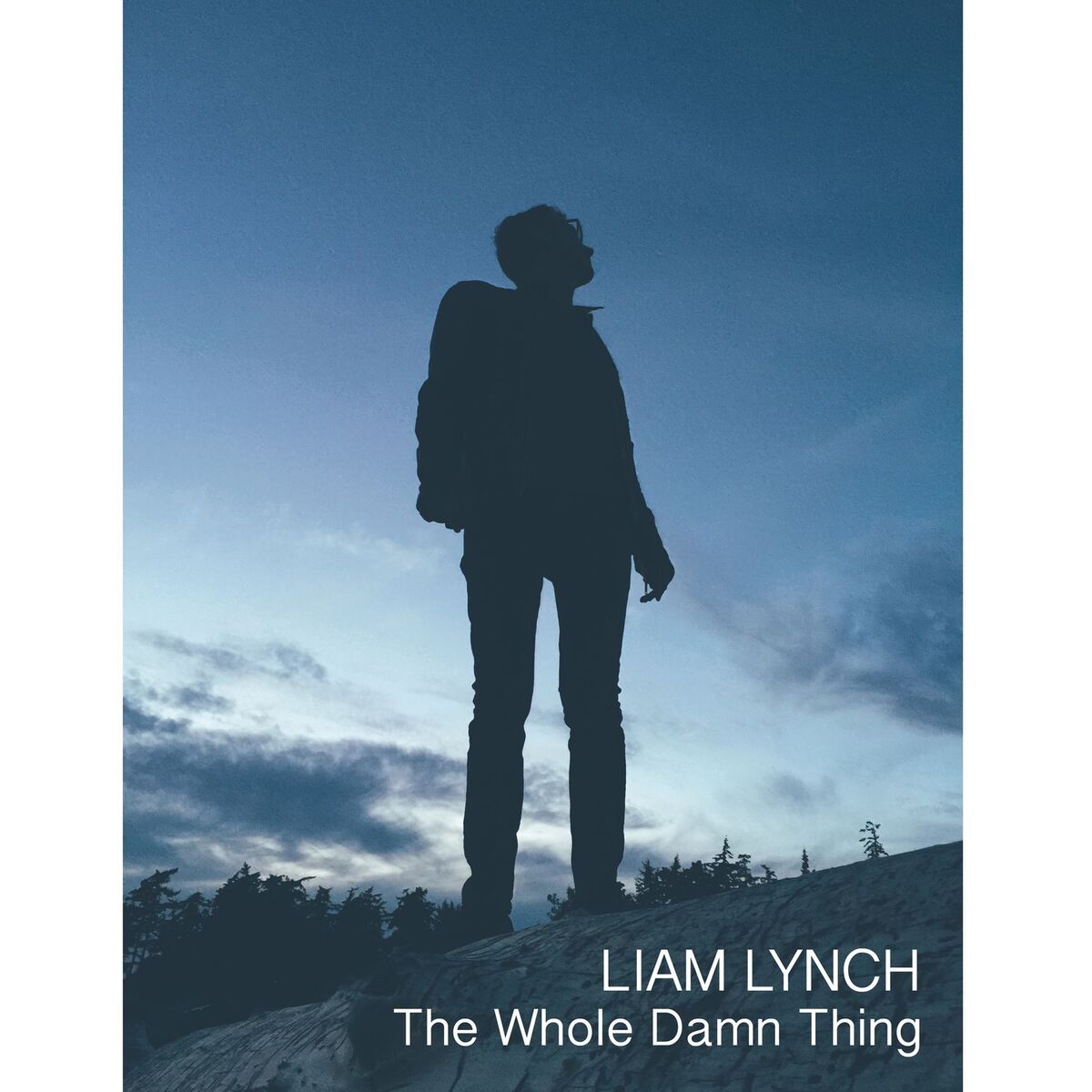Album cover of The Whole Damn Thing