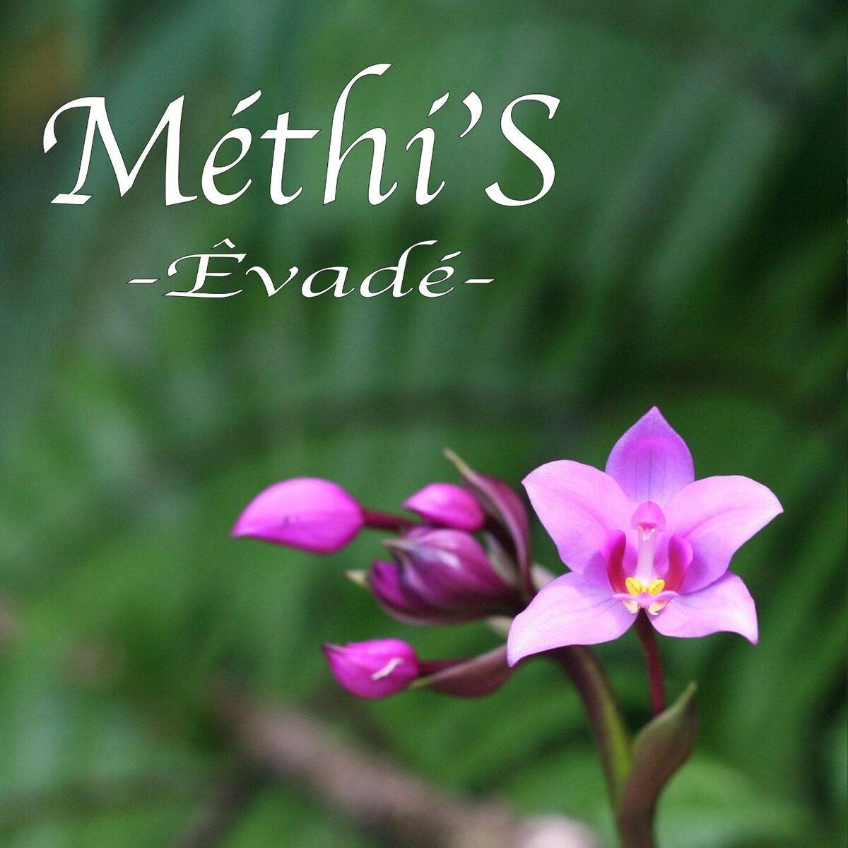 Album cover of Évadé