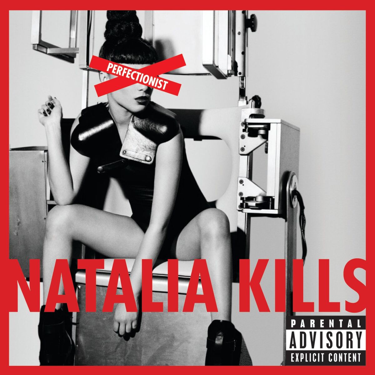Album cover of Perfectionist (Deluxe Version)