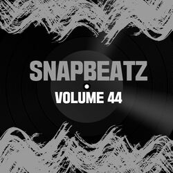 Cover of Snap Beatz Vol.44