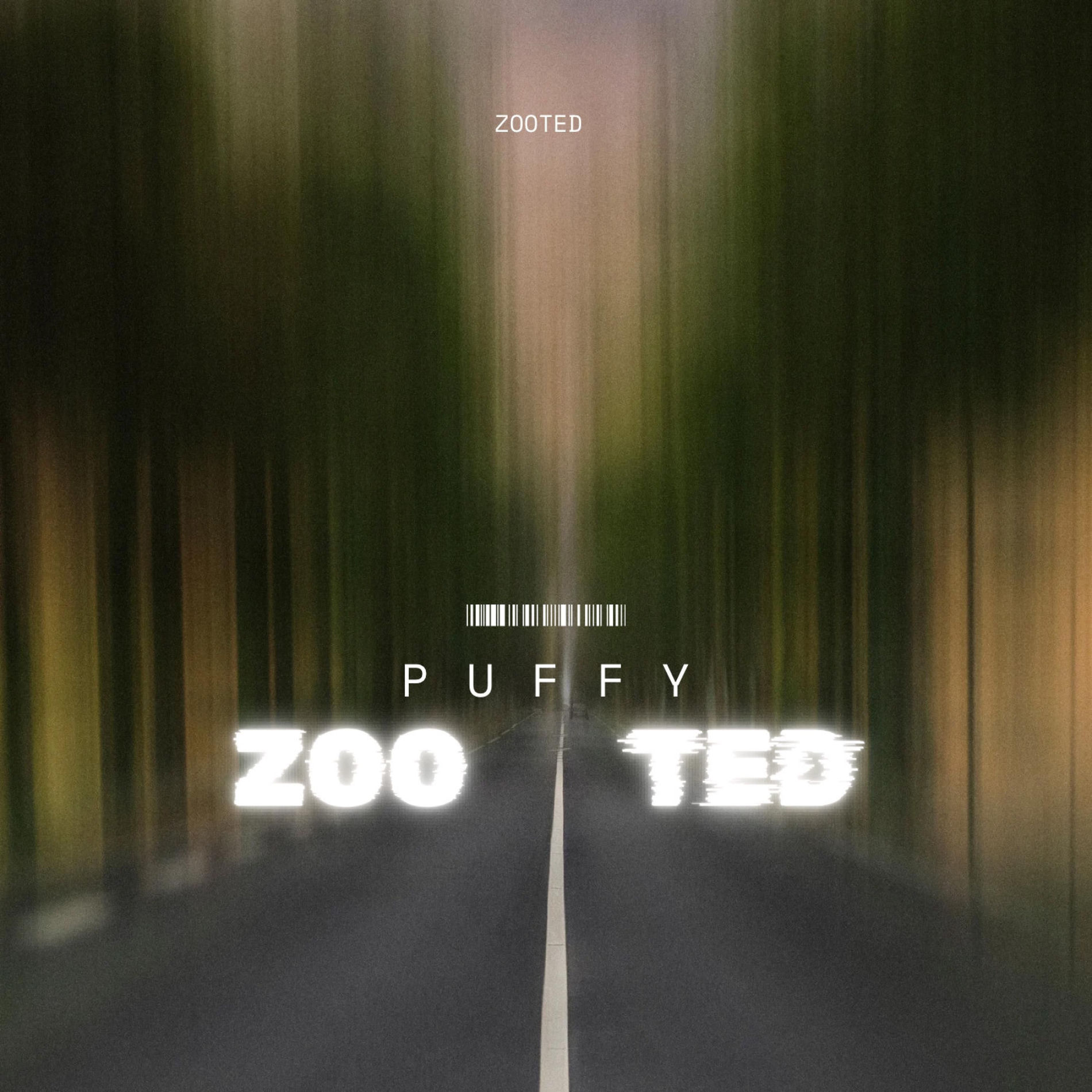 Album cover of Zooted