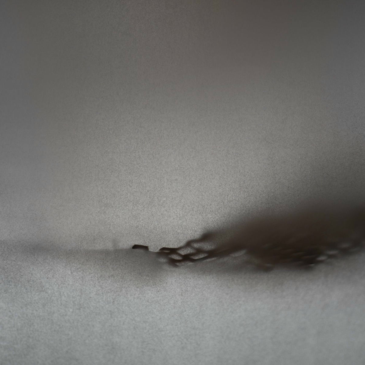 Album cover of The Illusion of Beginnings & Endings