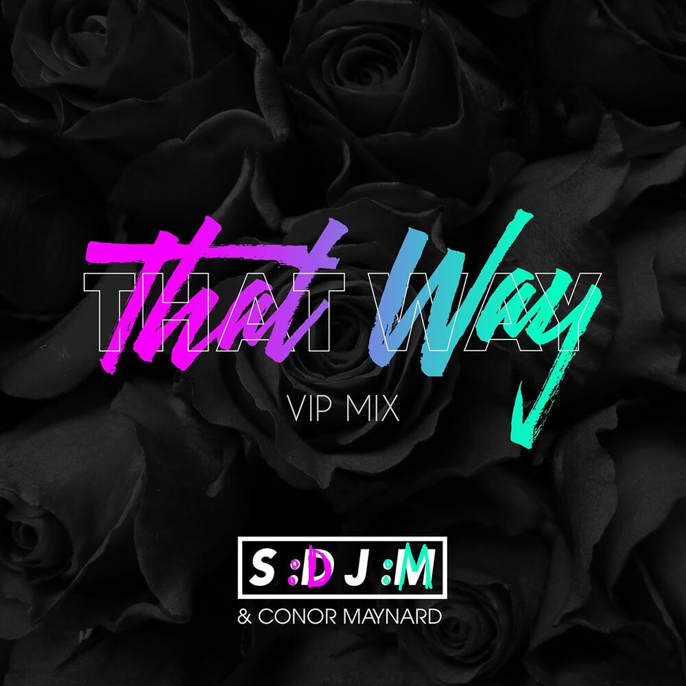 Picture of That Way (VIP Mix)