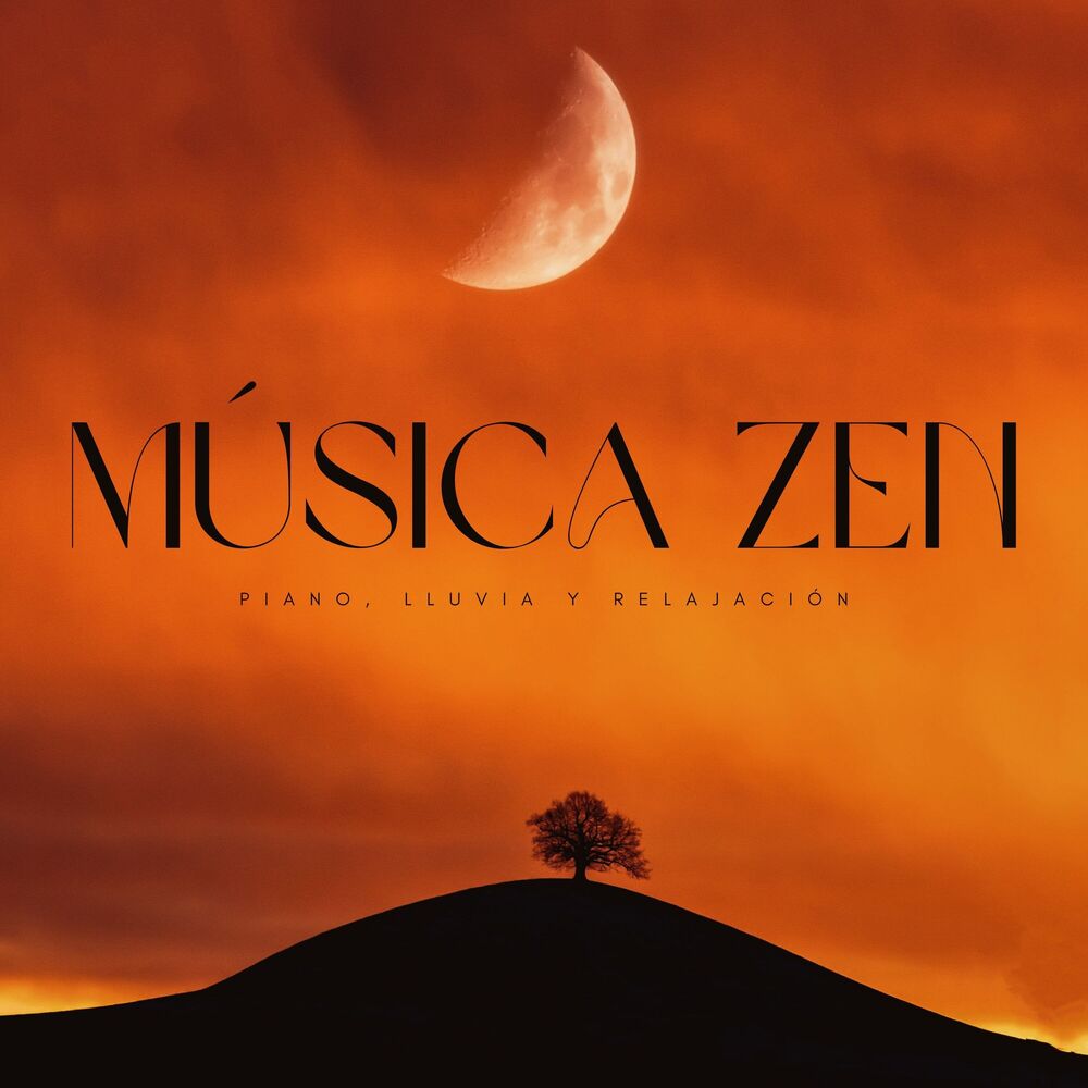 Picture of Música Zen: Piano, Lluvia Y Relajación
