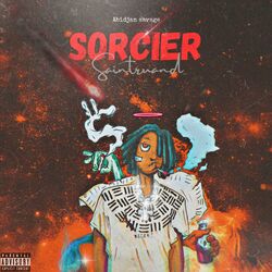 Cover of SORCIER
