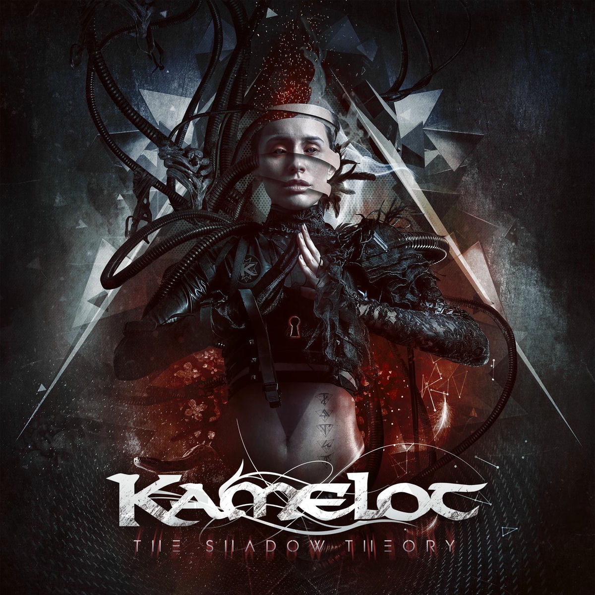 Album cover of The Shadow Theory (Deluxe Bonus Version)
