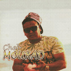 Cover of Chira brune