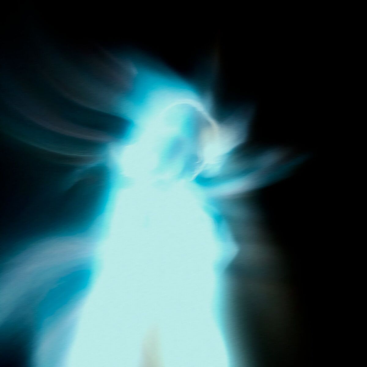 Album cover of della bestia