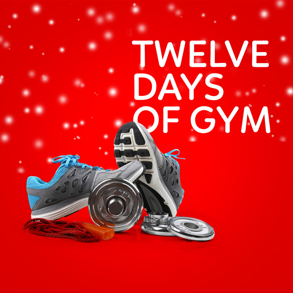Picture of Twelve Days of Gym