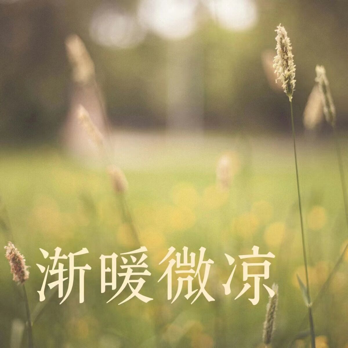Album cover of 冬日物语