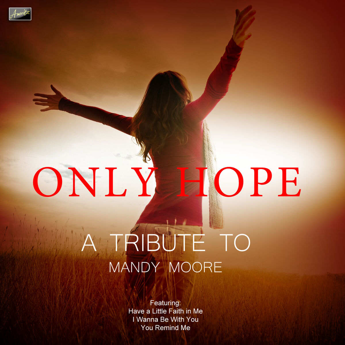 Album cover of I See the Light