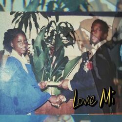 Cover of Lowe Mi