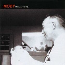 Cover of Animal Rights