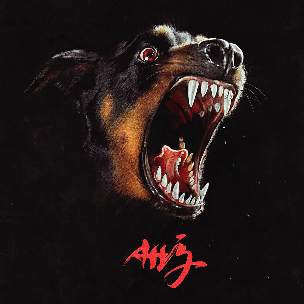 Picture of AHJ