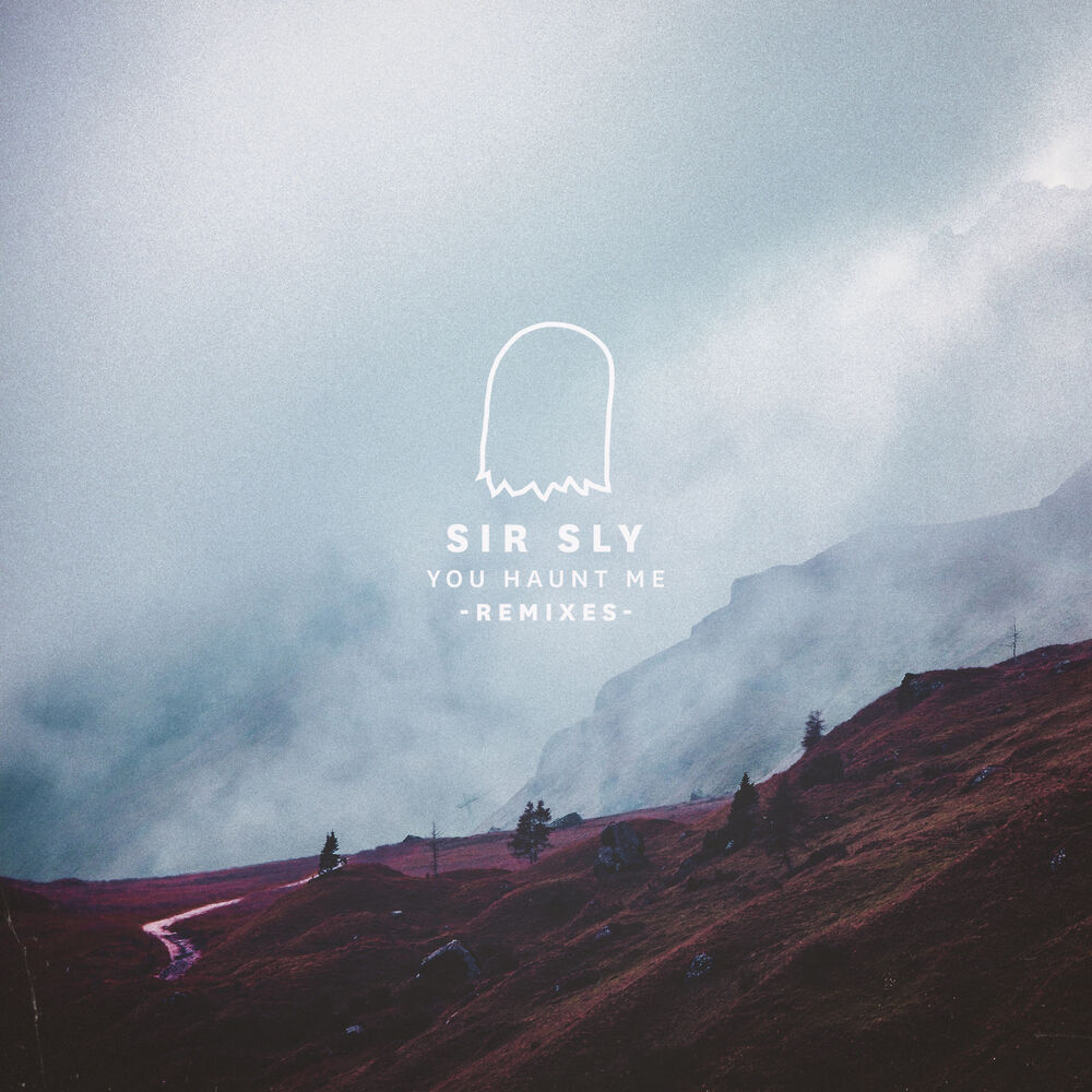 Picture of You Haunt Me (Remixes)
