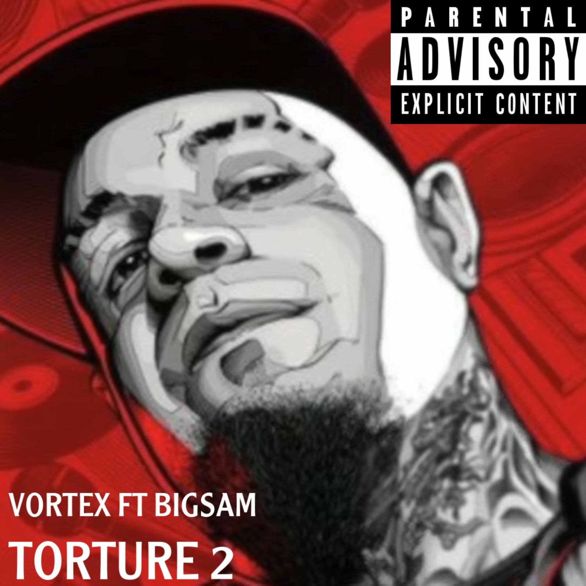 Album cover of Torture 2 (feat. BigSam)