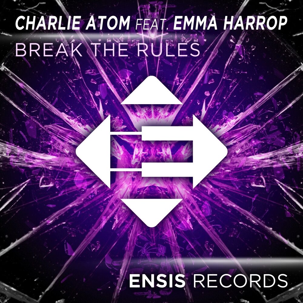Picture of Break The Rules