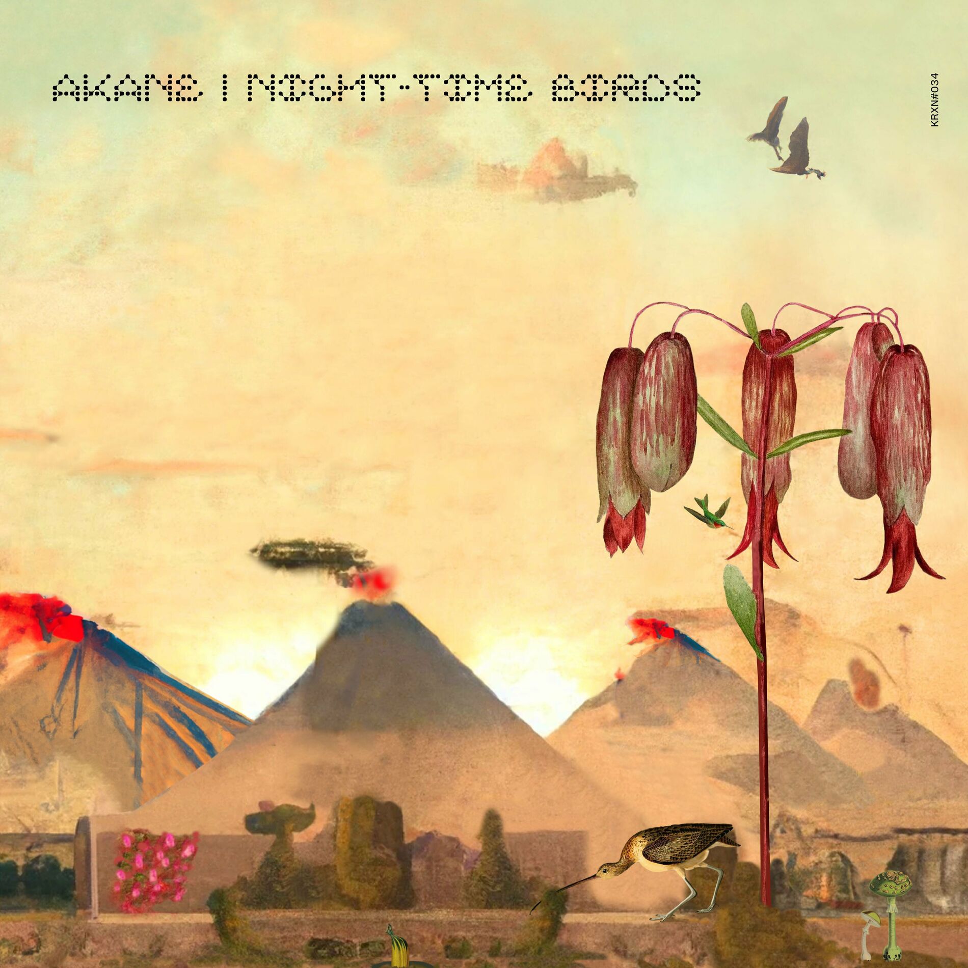 Album cover of Night-Time Birds