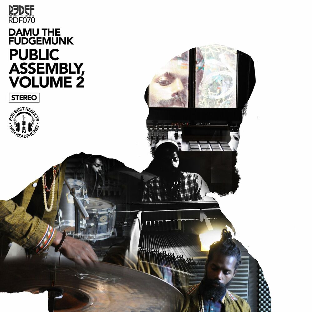 Picture of Public Assembly Volume 2