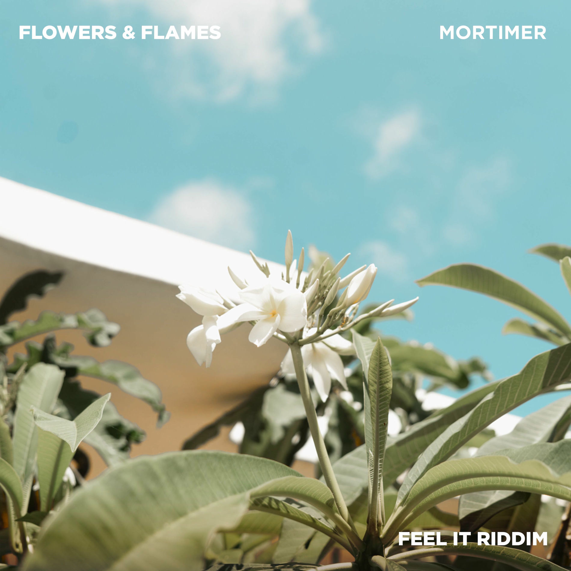Album cover of Flowers & Flames