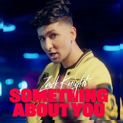 Cover of Something About You