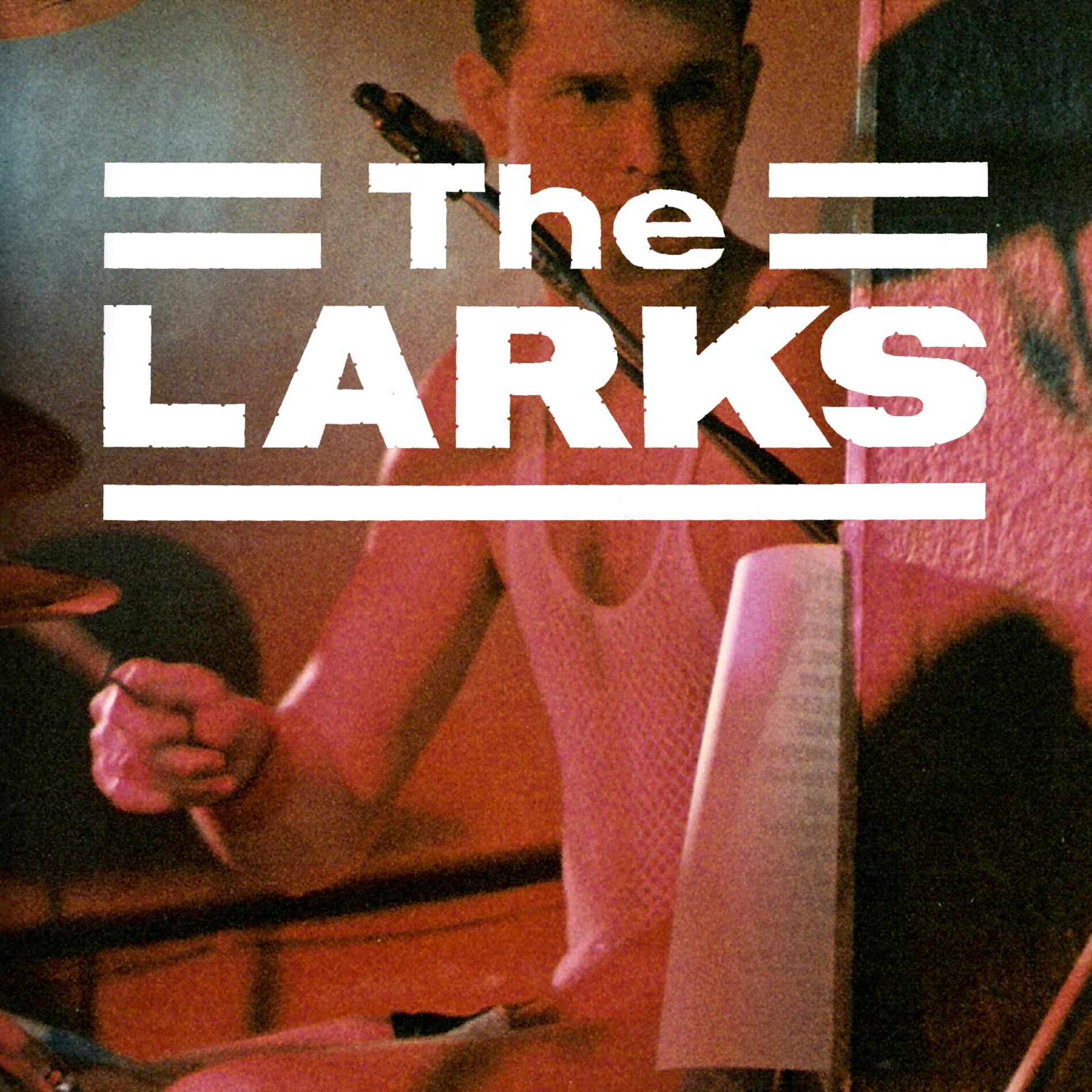 Album cover of The Larks Live in Leicester