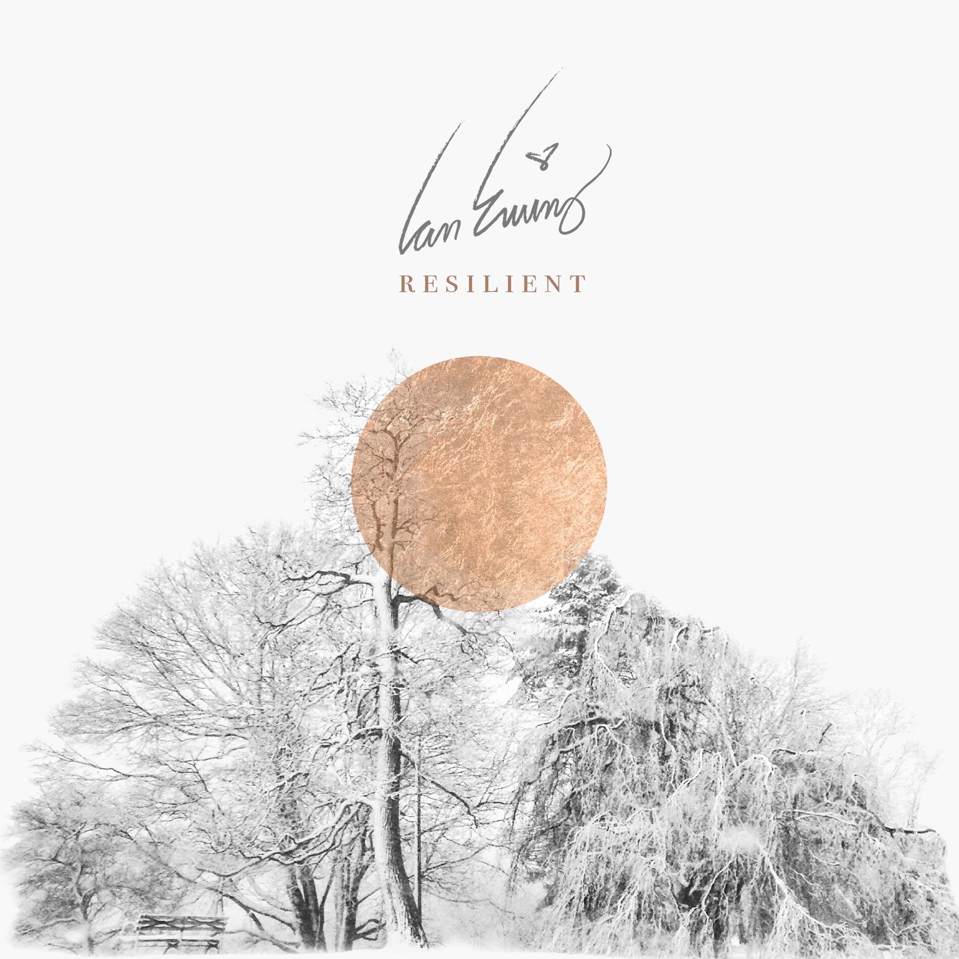 Album cover of Resilient