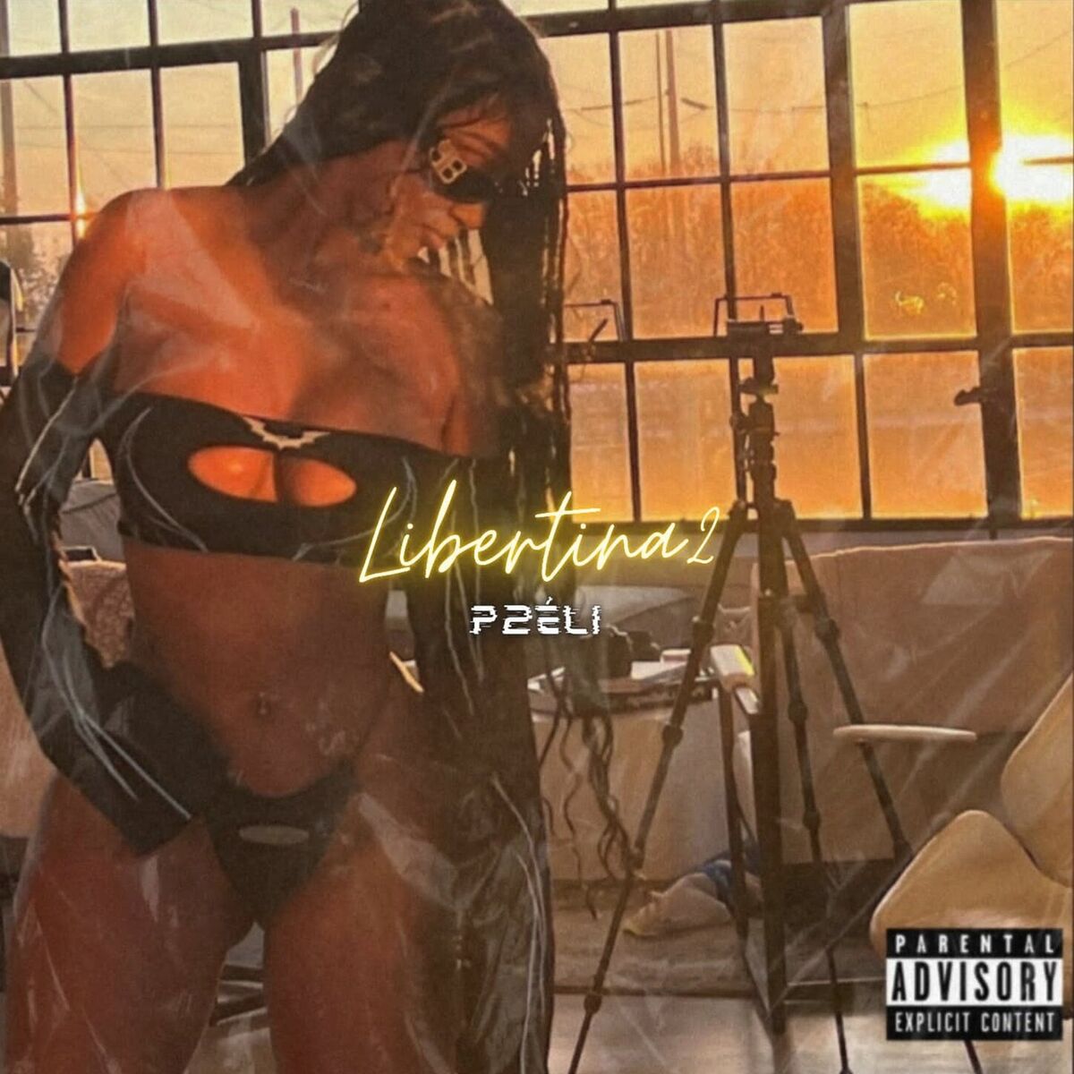 Album cover of Libertina 2