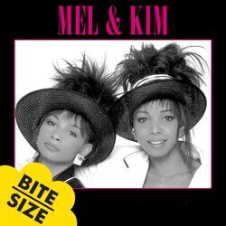 Cover of Bite Size