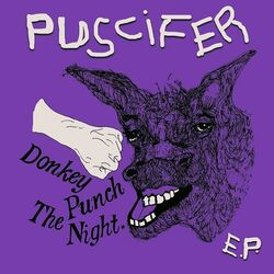 Cover of Donkey Punch The Night
