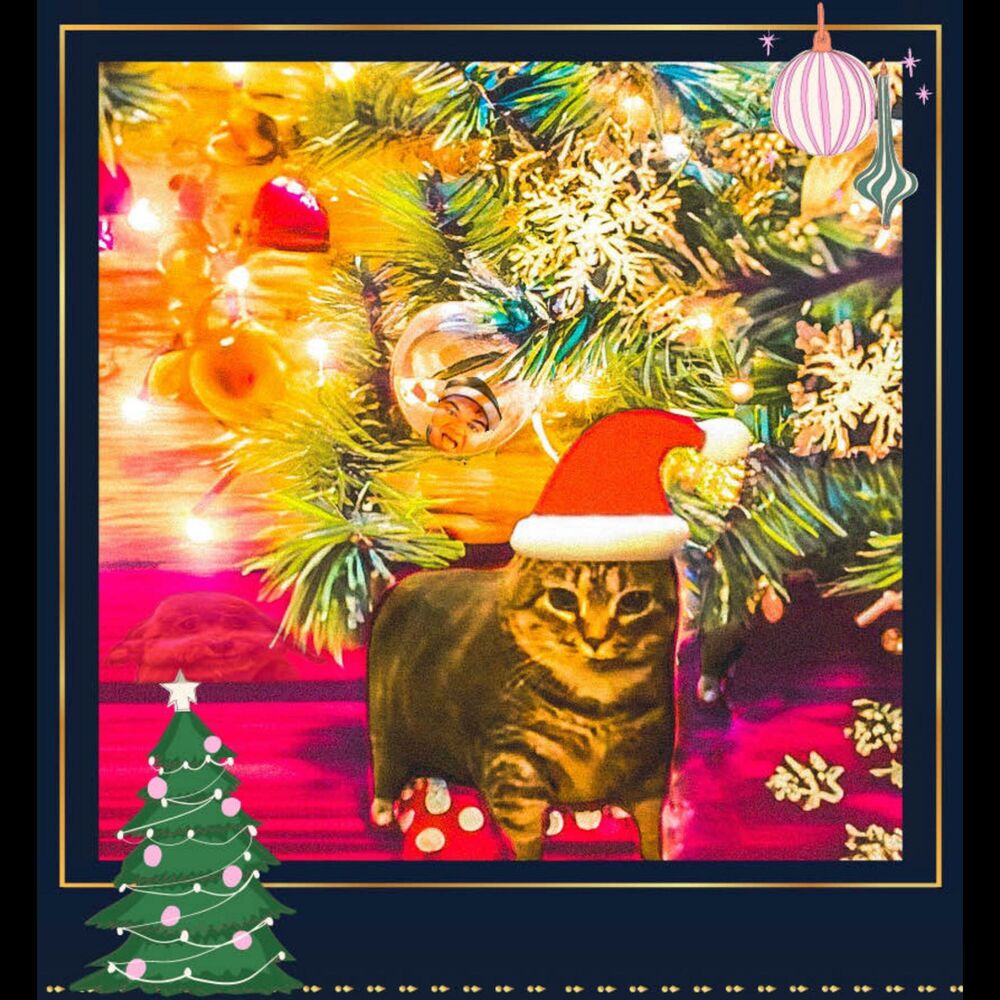 Picture of Brainrot Christmas
