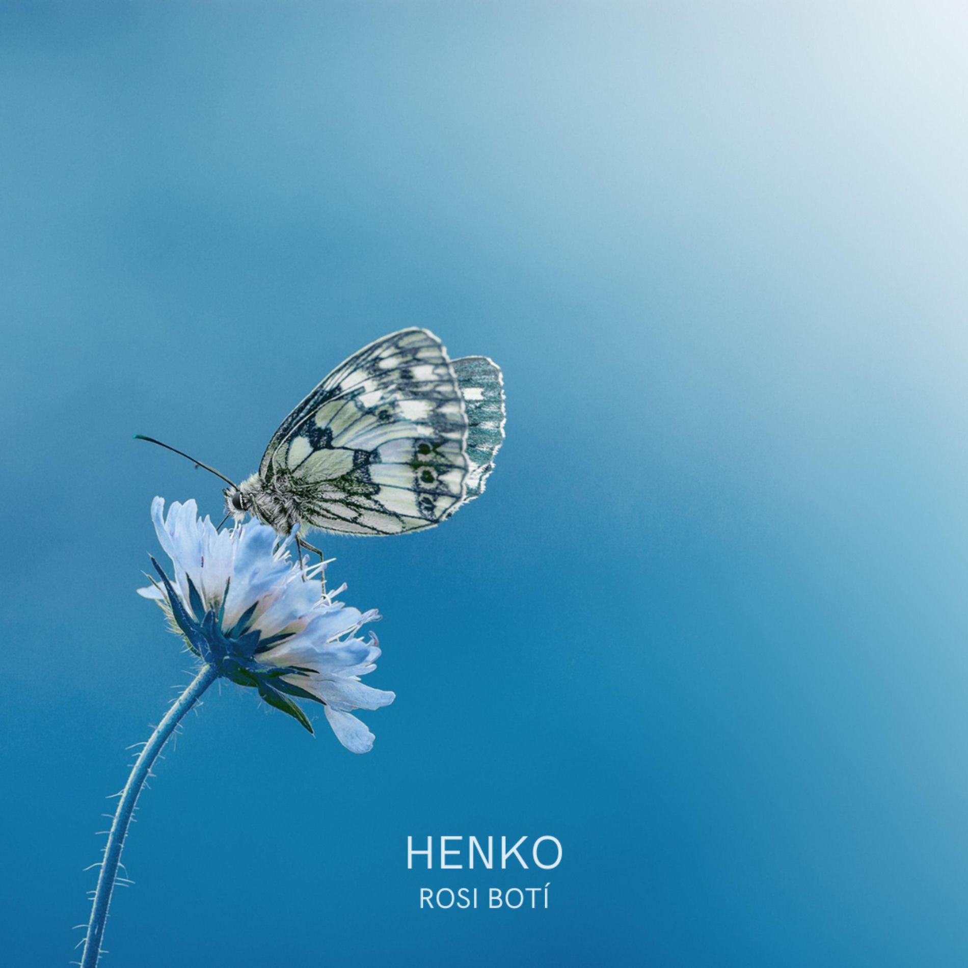 Album cover of Henko