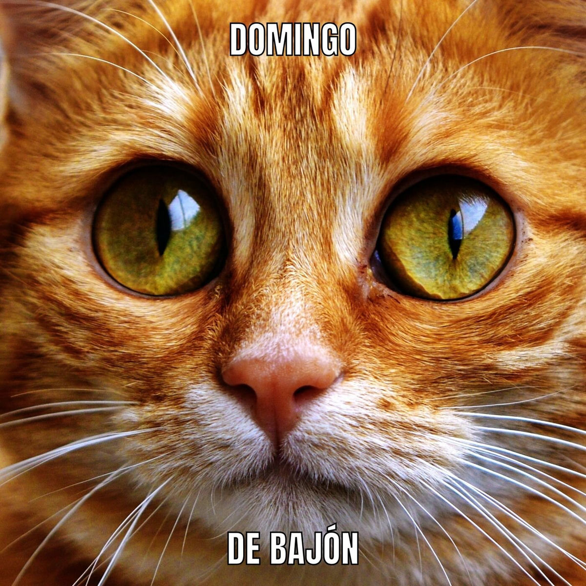 Album cover of Domingo de bajón
