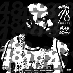 Cover of Another 48 Hours
