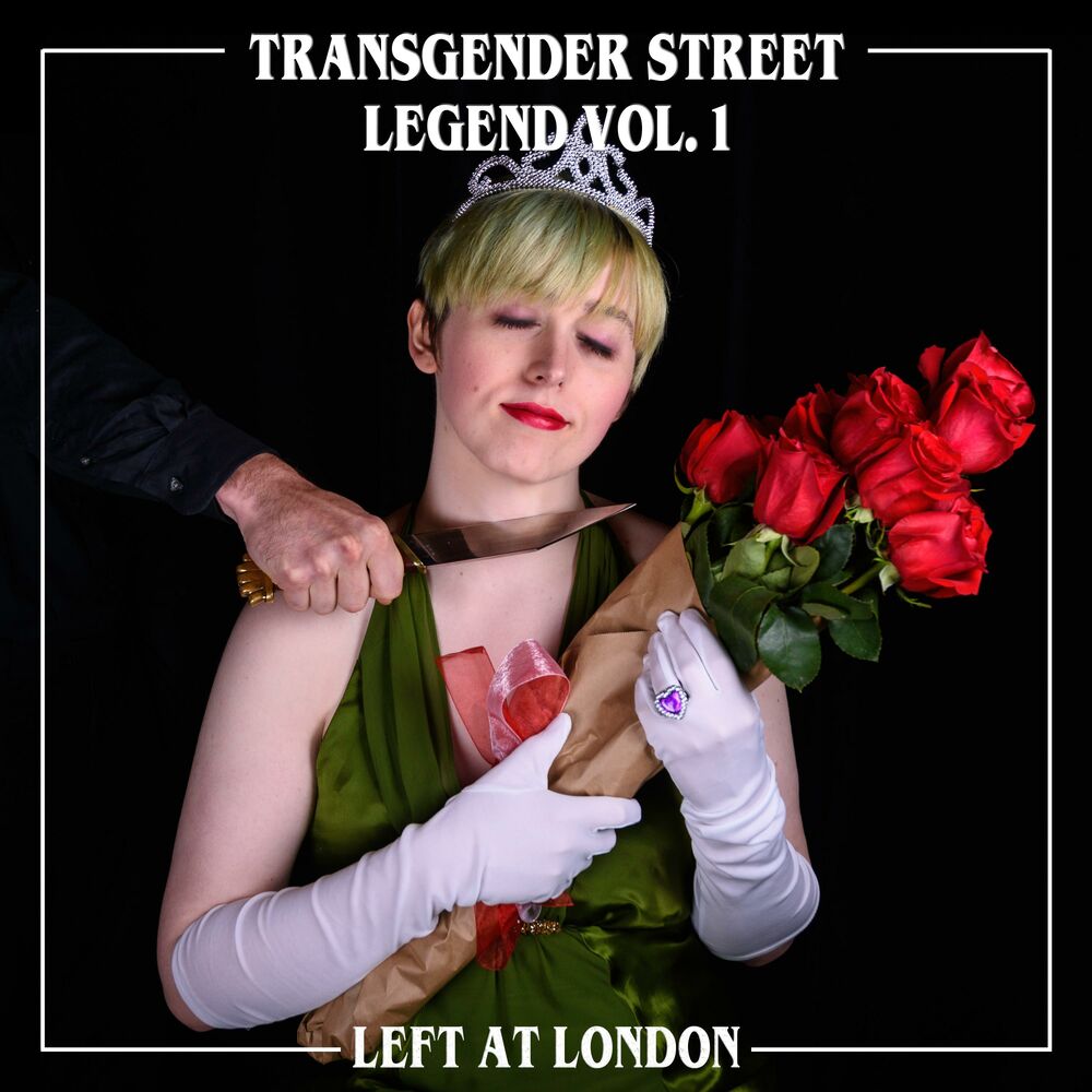 Picture of Transgender Street Legend, Vol. 1