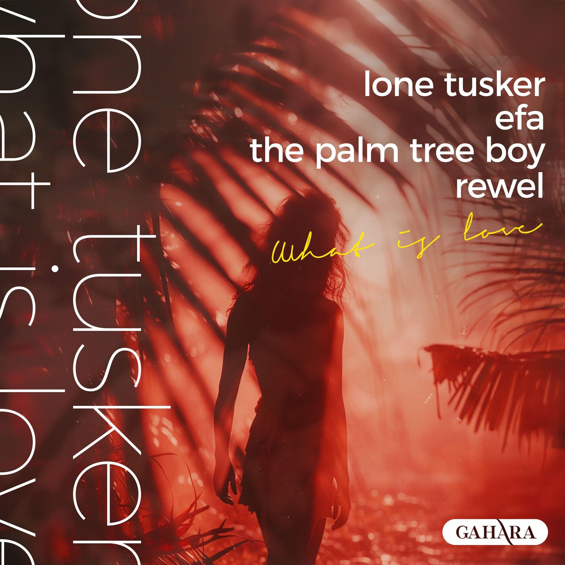 Album cover of What Is Love