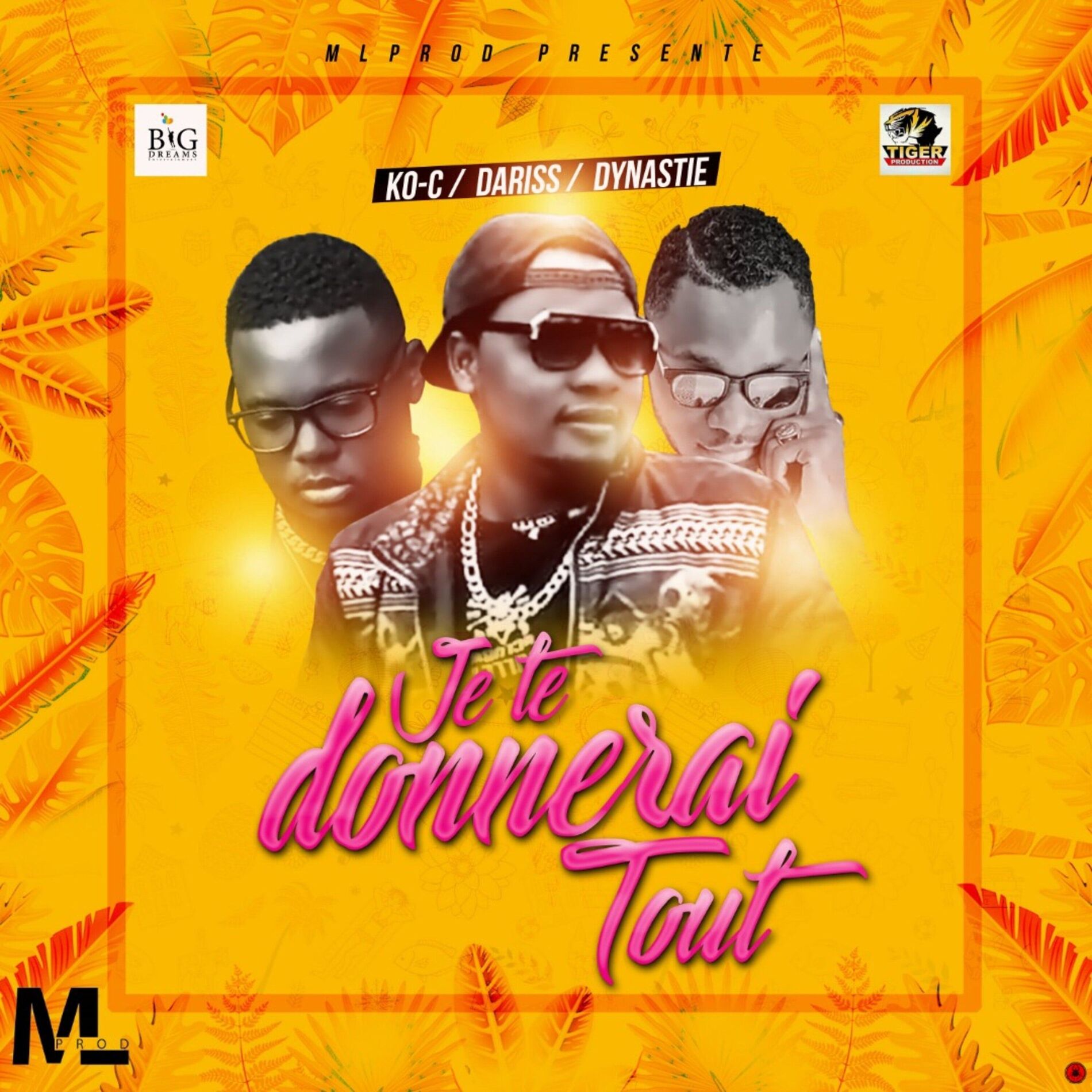 Album cover of je te donnerai tout