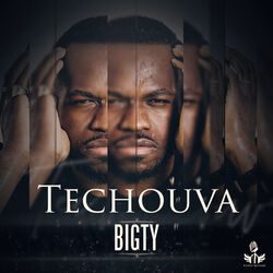 Cover of Techouva