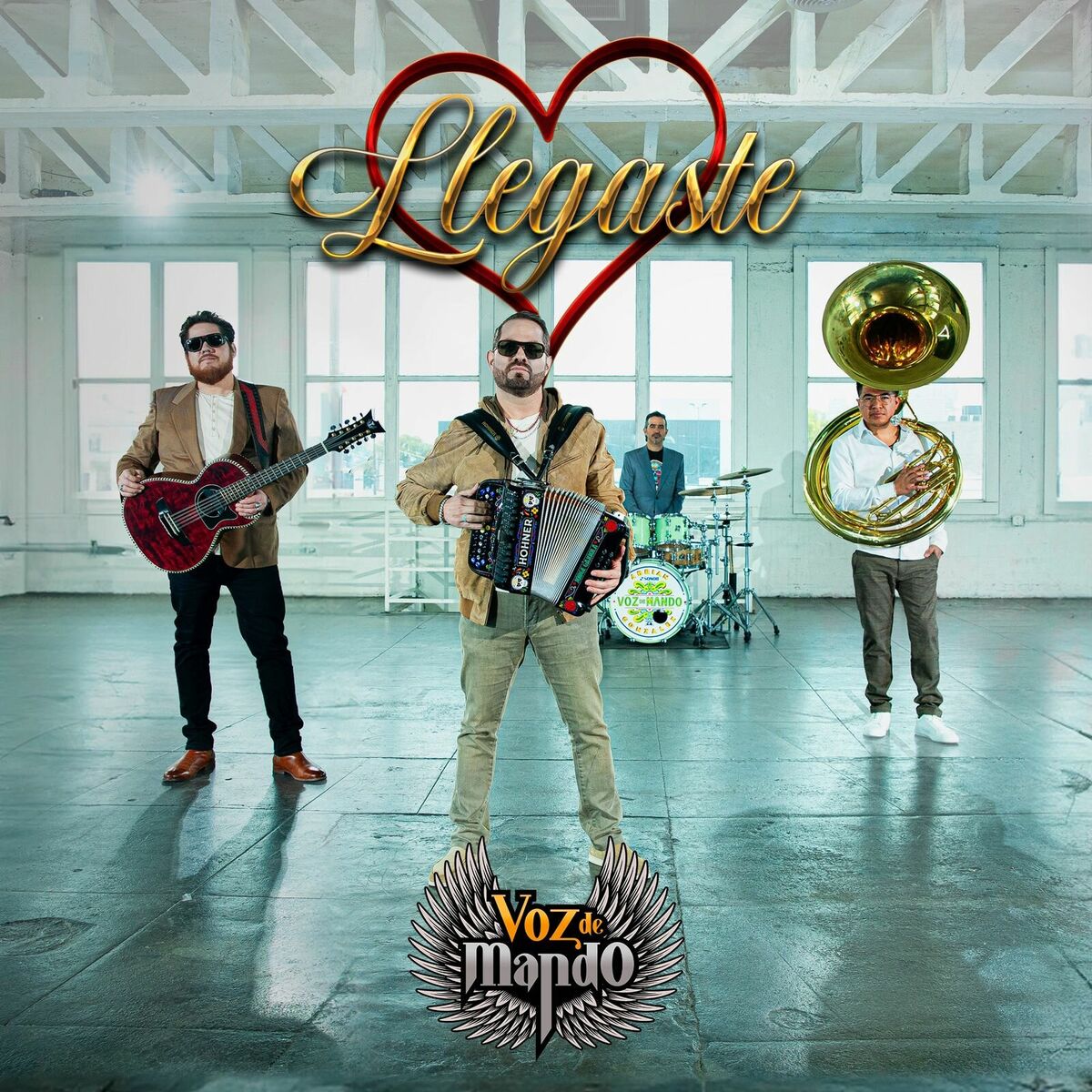 Album cover of Llegaste