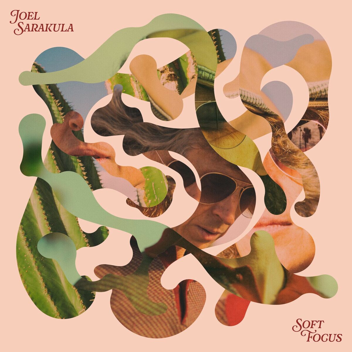 Album cover of Soft Focus