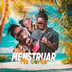 Cover of Menstruar