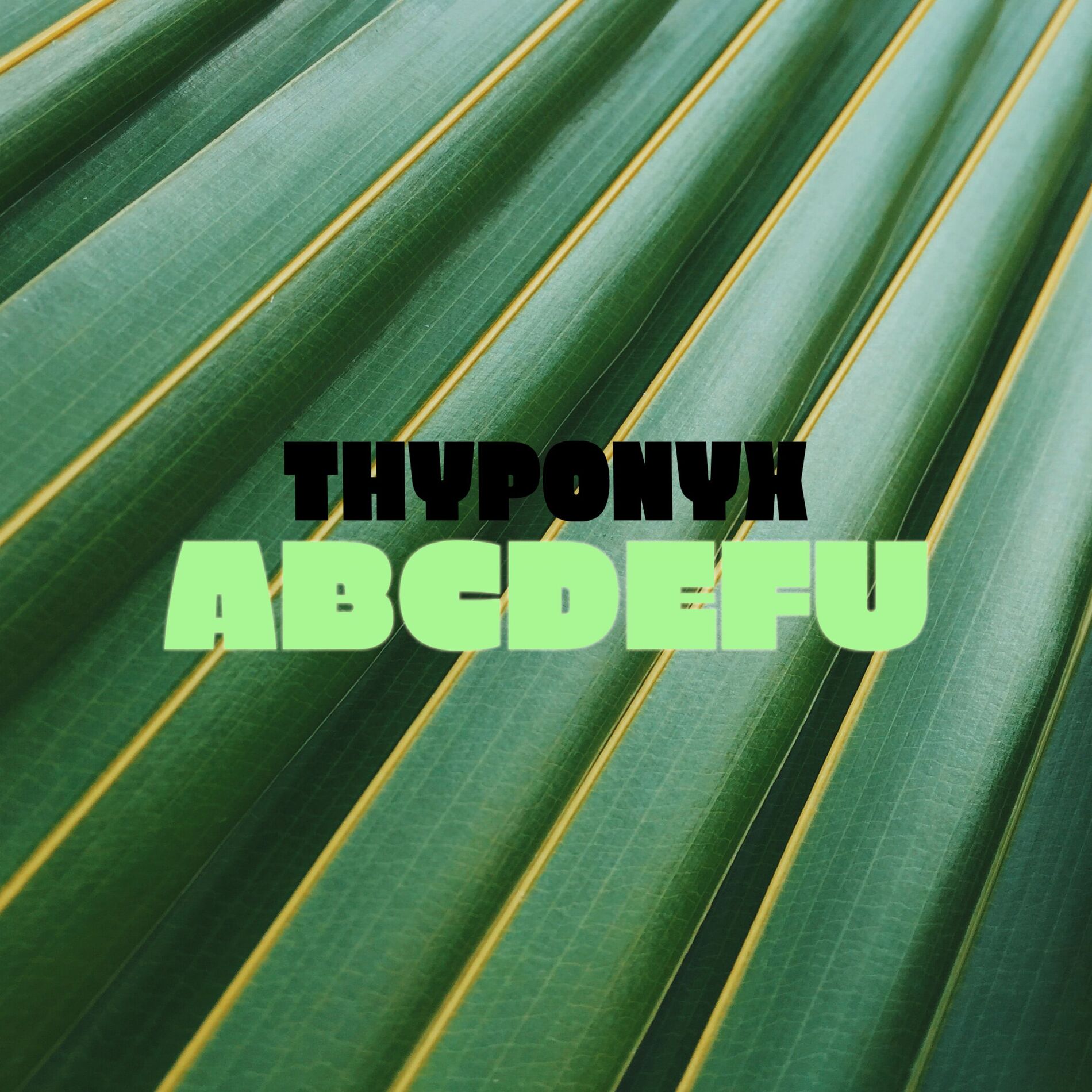Album cover of abcdefu
