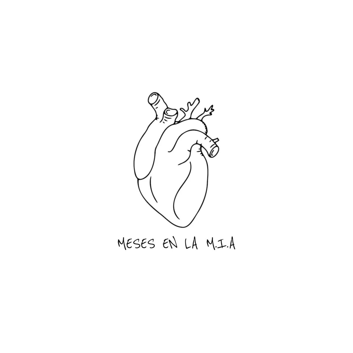 Album cover of Meses en la M.I.A